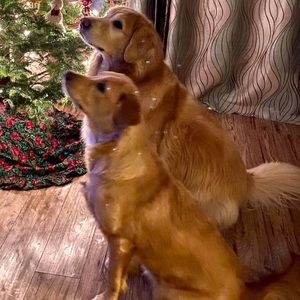 Meet your Posher, Deb